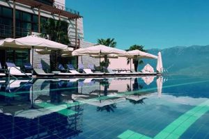 Relax at Garda Lake: Spa Hotel Bliss on the Lake The Ultimate Gardening Guide: Grow a Thriving Garden Year-Round Relax at Garda Lake: Spa Hotel Bliss on the Lake | The Ultimate Gardening Guide: Grow a Thriving Garden Year-Round