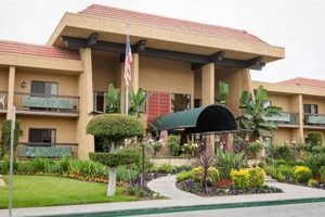Arcadia Garden Retirement Hotel The Ultimate Gardening Guide: Grow a Thriving Garden Year-Round Arcadia Garden Retirement Hotel | The Ultimate Gardening Guide: Grow a Thriving Garden Year-Round