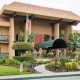 Arcadia Garden Retirement Hotel | The Ultimate Gardening Guide: Grow a Thriving Garden Year-Round