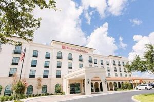 Find Cheap Hotels in Winter Garden, FL: Deals & More! The Ultimate Gardening Guide: Grow a Thriving Garden Year-Round Find Cheap Hotels in Winter Garden, FL: Deals & More! | The Ultimate Gardening Guide: Grow a Thriving Garden Year-Round