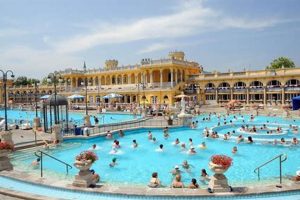 Discover Lions Garden Hotel in Budapest: Your Hungarian Haven The Ultimate Gardening Guide: Grow a Thriving Garden Year-Round Discover Lions Garden Hotel in Budapest: Your Hungarian Haven | The Ultimate Gardening Guide: Grow a Thriving Garden Year-Round