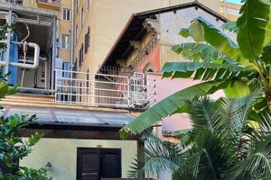 Oasis Hotels: Hotel Select Garden Rome - Your Roman Escape The Ultimate Gardening Guide: Grow a Thriving Garden Year-Round Oasis Hotels: Hotel Select Garden Rome - Your Roman Escape | The Ultimate Gardening Guide: Grow a Thriving Garden Year-Round