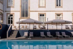 Escape to Luxury: Hotel Villa Garden Braga Getaways | The Ultimate Gardening Guide: Grow a Thriving Garden Year-Round