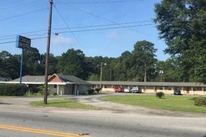 Garden City, GA Hotels: Find Best Deals Near Savannah | The Ultimate Gardening Guide: Grow a Thriving Garden Year-Round