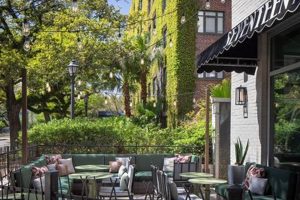 Experience Hotel Indigo New Orleans Garden District [Hotel] | The Ultimate Gardening Guide: Grow a Thriving Garden Year-Round