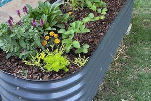 Raise More: Tall Metal Raised Garden Beds [Guide] | The Ultimate Gardening Guide: Grow a Thriving Garden Year-Round