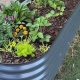 Raise More: Tall Metal Raised Garden Beds [Guide] | The Ultimate Gardening Guide: Grow a Thriving Garden Year-Round