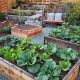 Best Veggies: What to Plant in a Raised Garden Bed Guide | The Ultimate Gardening Guide: Grow a Thriving Garden Year-Round