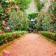 Living in CA: Is Garden Grove, CA Safe? (2024) | The Ultimate Gardening Guide: Grow a Thriving Garden Year-Round