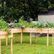 Wheelchair Accessible Raised Garden Beds: Easy Grow + Plans | The Ultimate Gardening Guide: Grow a Thriving Garden Year-Round