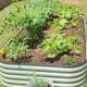 Best 4x8 Raised Garden Bed Planting Layout Ideas for Bumper Crops! | The Ultimate Gardening Guide: Grow a Thriving Garden Year-Round