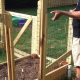 DIY Raised Garden Bed on Fence: Ideas &amp; Plans | The Ultimate Gardening Guide: Grow a Thriving Garden Year-Round