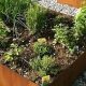 Durable Corten Raised Garden Beds: Build Your Dream! | The Ultimate Gardening Guide: Grow a Thriving Garden Year-Round