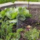 Best Compost for Raised Garden Beds: Grow Like a Pro! | The Ultimate Gardening Guide: Grow a Thriving Garden Year-Round