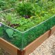 Grow Amazing: Raised Bed Fenced Garden Guide Now! | The Ultimate Gardening Guide: Grow a Thriving Garden Year-Round