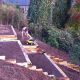 Best Raised Garden Bed Slope: Build & Maintain! | The Ultimate Gardening Guide: Grow a Thriving Garden Year-Round