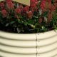 Grow More: Round Metal Raised Garden Beds for Bountiful Harvests | The Ultimate Gardening Guide: Grow a Thriving Garden Year-Round