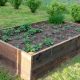Best Raised Garden Bed for Strawberries + Tips! | The Ultimate Gardening Guide: Grow a Thriving Garden Year-Round