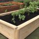 Grow Big: 4x8 Raised Garden Beds for Bountiful Harvests! | The Ultimate Gardening Guide: Grow a Thriving Garden Year-Round