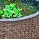 Creative Raised Garden Pond Ideas: Designs & More | The Ultimate Gardening Guide: Grow a Thriving Garden Year-Round