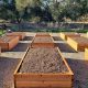 Best Organic Soil for Raised Garden Beds: Grow Healthy! | The Ultimate Gardening Guide: Grow a Thriving Garden Year-Round
