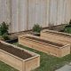 Best Cedar Raised Garden Beds: Elevated Growing Made Easy | The Ultimate Gardening Guide: Grow a Thriving Garden Year-Round