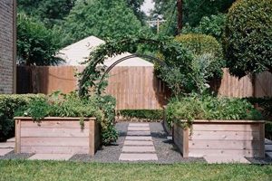 DIY Wonders: Raised Garden Beds with Trellis for Bountiful Harvests The Ultimate Gardening Guide: Grow a Thriving Garden Year-Round DIY Wonders: Raised Garden Beds with Trellis for Bountiful Harvests | The Ultimate Gardening Guide: Grow a Thriving Garden Year-Round