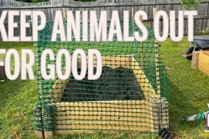 Stop Pests! How to Keep Animals Out of Raised Garden Beds - Tips The Ultimate Gardening Guide: Grow a Thriving Garden Year-Round Stop Pests! How to Keep Animals Out of Raised Garden Beds - Tips | The Ultimate Gardening Guide: Grow a Thriving Garden Year-Round