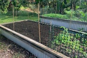 Stop Cats: How to Keep Cats Out of Raised Garden Beds Safely! | The Ultimate Gardening Guide: Grow a Thriving Garden Year-Round