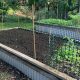Stop Cats: How to Keep Cats Out of Raised Garden Beds Safely! | The Ultimate Gardening Guide: Grow a Thriving Garden Year-Round