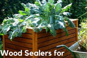 Protect Your Garden: Food Safe Wood Sealer for Raised Beds The Ultimate Gardening Guide: Grow a Thriving Garden Year-Round Protect Your Garden: Food Safe Wood Sealer for Raised Beds | The Ultimate Gardening Guide: Grow a Thriving Garden Year-Round