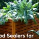 Protect Your Garden: Food Safe Wood Sealer for Raised Beds | The Ultimate Gardening Guide: Grow a Thriving Garden Year-Round