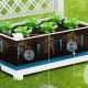 Grow Easy: Self Watering Raised Gardens for All | The Ultimate Gardening Guide: Grow a Thriving Garden Year-Round