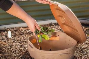 Boost Your Raised Garden: The Power of Compost | The Ultimate Gardening Guide: Grow a Thriving Garden Year-Round
