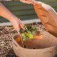 Boost Your Raised Garden: The Power of Compost | The Ultimate Gardening Guide: Grow a Thriving Garden Year-Round