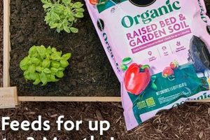 Best Organic Raised Garden Soil Mix: Grow Easy! | The Ultimate Gardening Guide: Grow a Thriving Garden Year-Round