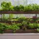 Easy DIY Indoor Raised Garden Ideas + Tips | The Ultimate Gardening Guide: Grow a Thriving Garden Year-Round
