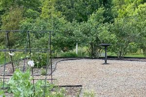 Grow More: Raised Garden Bed for Blueberries Success! | The Ultimate Gardening Guide: Grow a Thriving Garden Year-Round