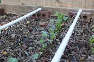 Best Raised Bed Irrigation Kit: Grow Easier! | The Ultimate Gardening Guide: Grow a Thriving Garden Year-Round