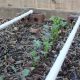 Best Raised Bed Irrigation Kit: Grow Easier! | The Ultimate Gardening Guide: Grow a Thriving Garden Year-Round