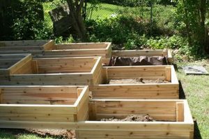 Level Up: How to Build a Raised Garden Bed on a Slope - Guide The Ultimate Gardening Guide: Grow a Thriving Garden Year-Round Level Up: How to Build a Raised Garden Bed on a Slope - Guide | The Ultimate Gardening Guide: Grow a Thriving Garden Year-Round