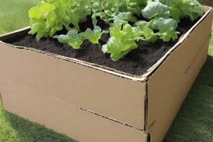 Using Cardboard for Raised Garden Beds: Benefits & Tips | The Ultimate Gardening Guide: Grow a Thriving Garden Year-Round