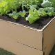 Using Cardboard for Raised Garden Beds: Benefits & Tips | The Ultimate Gardening Guide: Grow a Thriving Garden Year-Round