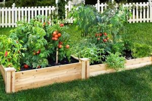 Best Veggies: What to Grow in a Raised Garden Bed for Success! | The Ultimate Gardening Guide: Grow a Thriving Garden Year-Round