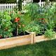 Best Veggies: What to Grow in a Raised Garden Bed for Success! | The Ultimate Gardening Guide: Grow a Thriving Garden Year-Round