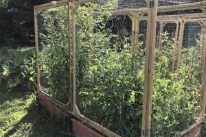 Build-It: Squirrel Proof Raised Garden Beds Today! The Ultimate Gardening Guide: Grow a Thriving Garden Year-Round Build-It: Squirrel Proof Raised Garden Beds Today! | The Ultimate Gardening Guide: Grow a Thriving Garden Year-Round