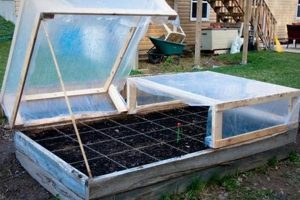Boost Raised Beds: Cold Frames for Garden Success! The Ultimate Gardening Guide: Grow a Thriving Garden Year-Round Boost Raised Beds: Cold Frames for Garden Success! | The Ultimate Gardening Guide: Grow a Thriving Garden Year-Round