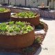 Elevate Your Garden: Circular Raised Garden Beds! | The Ultimate Gardening Guide: Grow a Thriving Garden Year-Round