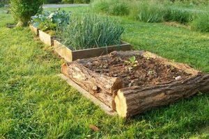 Build Durable Log Raised Garden Beds + Designs The Ultimate Gardening Guide: Grow a Thriving Garden Year-Round Build Durable Log Raised Garden Beds + Designs | The Ultimate Gardening Guide: Grow a Thriving Garden Year-Round