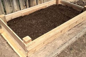 Best Topsoil for Raised Garden Beds: A Complete Guide! | The Ultimate Gardening Guide: Grow a Thriving Garden Year-Round